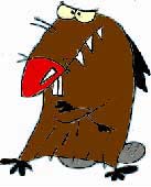 beavers-27