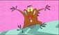 beavers-14